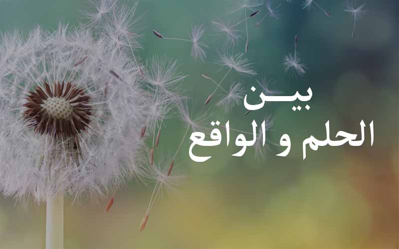 بين الحلم و الواقع