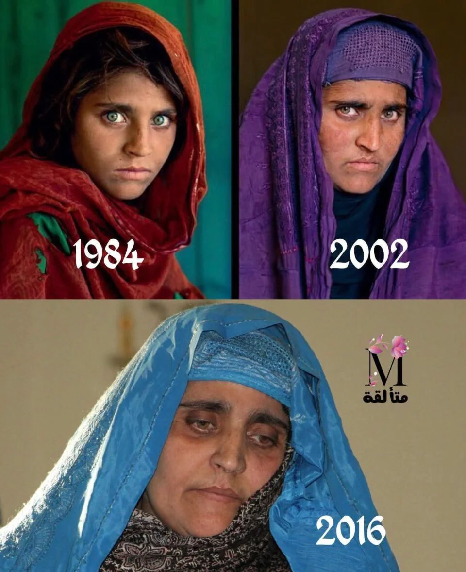 عالمية