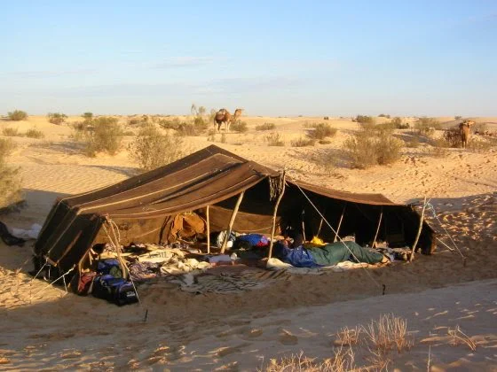 النجع