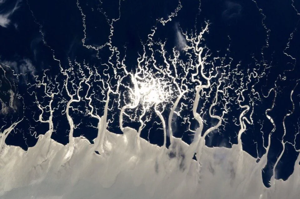 Earth Art (New Guinea Rainforest from the ISS)
