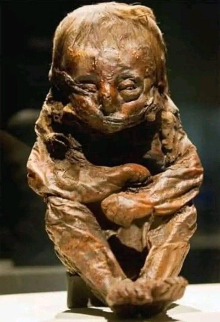 uwan-muhuggiaj-mummy-returns-to-libya